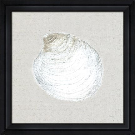 Framed Serene Shells II Tan Print
