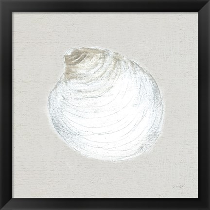 Framed Serene Shells II Tan Print