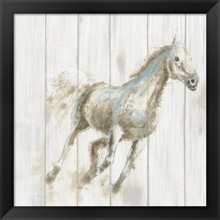 Framed Stallion I on Birch Print