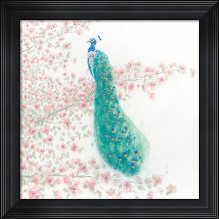 Framed Spring Peacock II Print