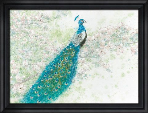 Framed Spring Peacock I Print
