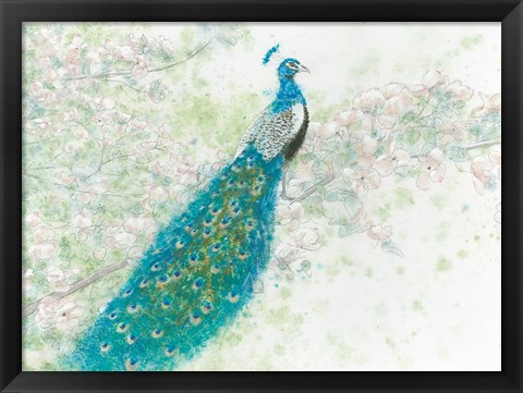 Framed Spring Peacock I Print