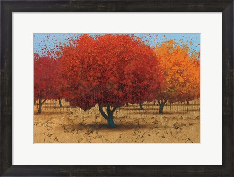 Framed Orange Trees II Print