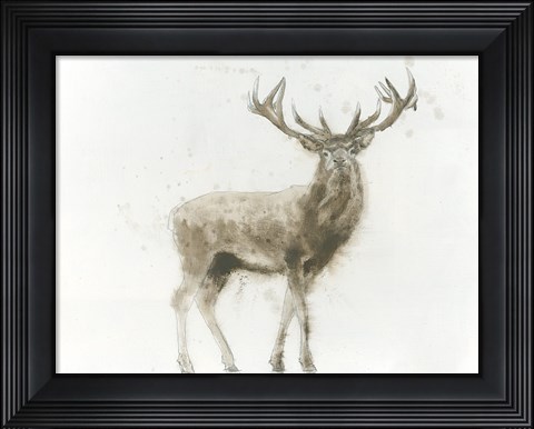 Framed Stag Print