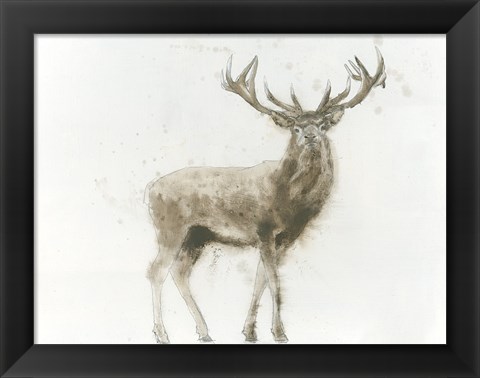 Framed Stag Print