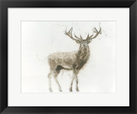 Framed Stag Print