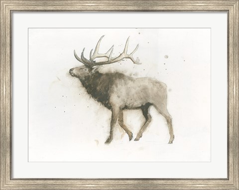 Framed Elk Print