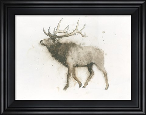 Framed Elk Print