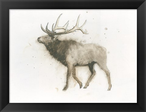 Framed Elk Print