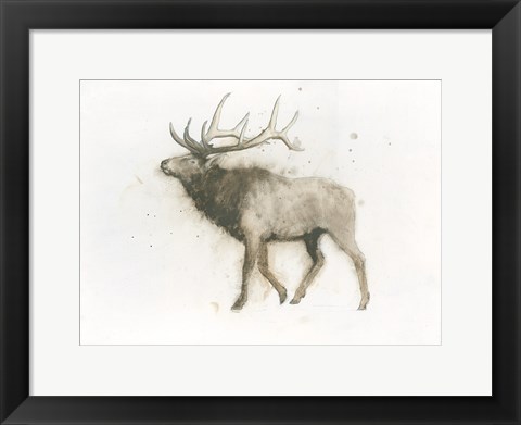 Framed Elk Print