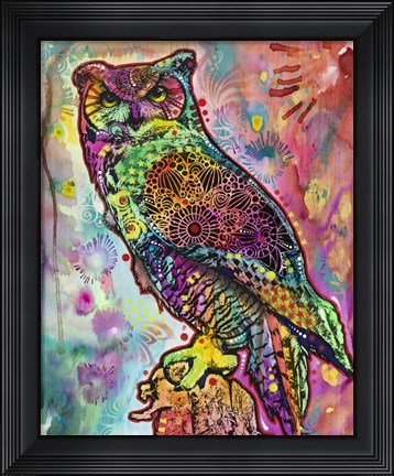 Framed Owl Print