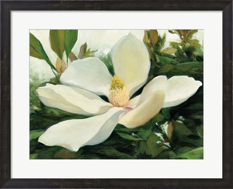 Framed Majestic Magnolia Print