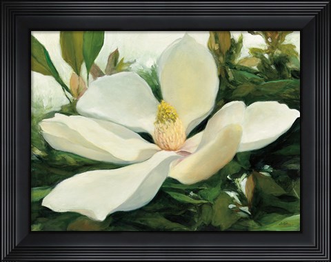 Framed Majestic Magnolia Print