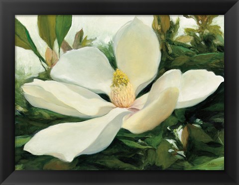 Framed Majestic Magnolia Print