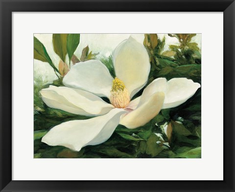 Framed Majestic Magnolia Print