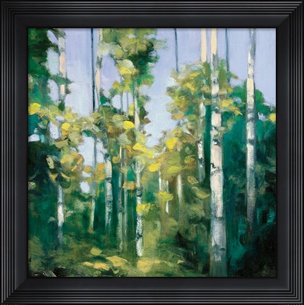 Framed Birches Print