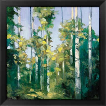 Framed Birches Print