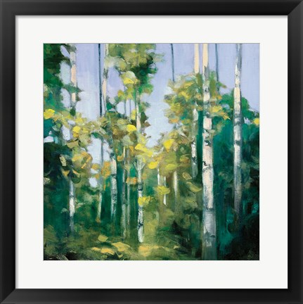 Framed Birches Print