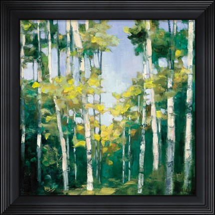 Framed Cripple Creek Print