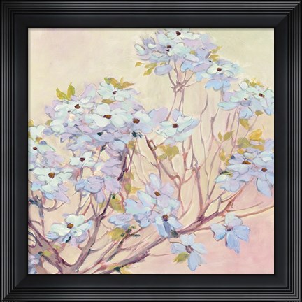 Framed Spring Dogwood II Print