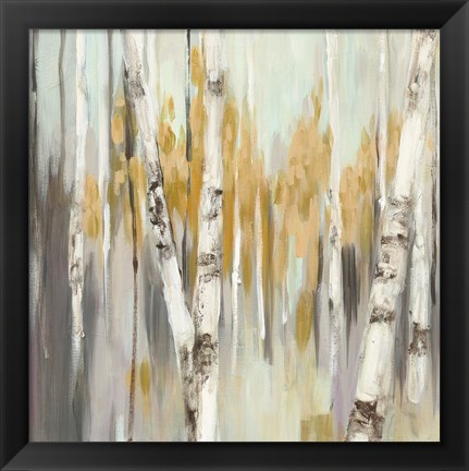 Framed Silver Birch I Print