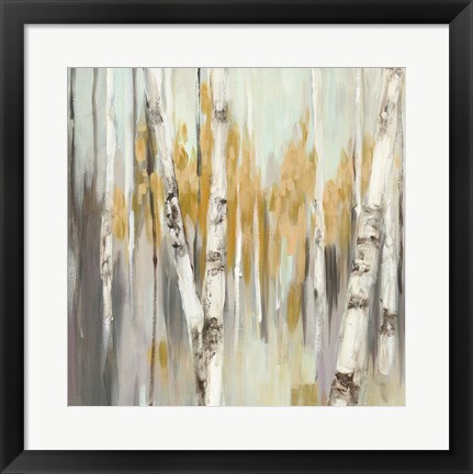 Framed Silver Birch I Print