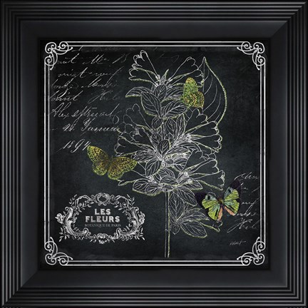 Framed Chalkboard Botanical II Print
