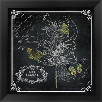 Framed Chalkboard Botanical II Print