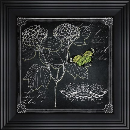 Framed Chalkboard Botanical I Print