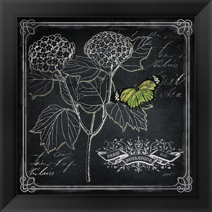 Framed Chalkboard Botanical I Print