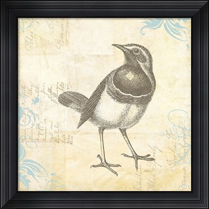 Framed Engraved Birds II Print