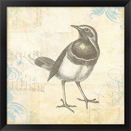 Framed Engraved Birds II Print