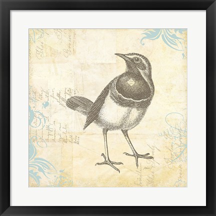 Framed Engraved Birds II Print