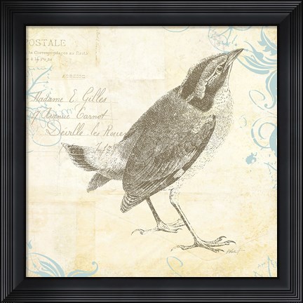 Framed Engraved Birds I Print