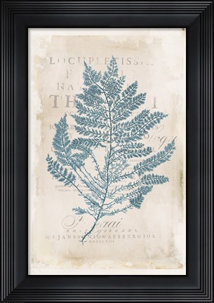 Framed Sea Garden III v2 Print