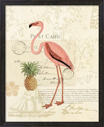Framed Floridian IV Print