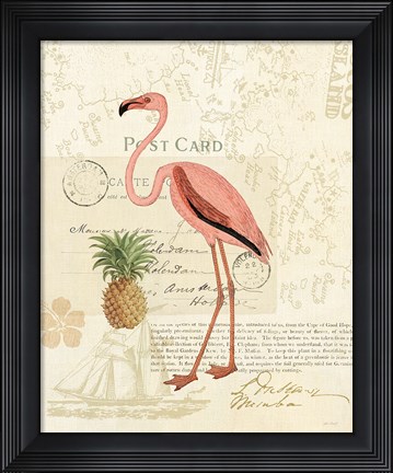 Framed Floridian IV Print