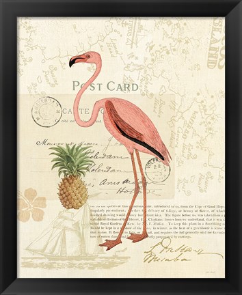 Framed Floridian IV Print