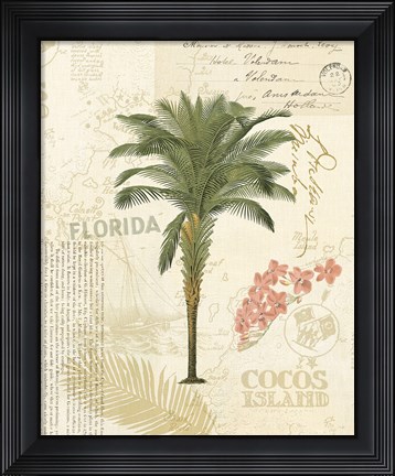 Framed Floridian II Print