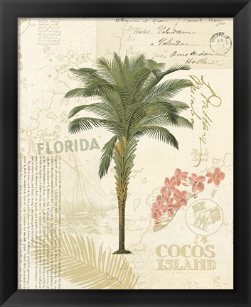 Framed Floridian II Print