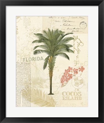 Framed Floridian II Print