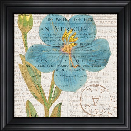 Framed Bookshelf Botanical VI Print