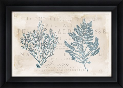 Framed Sea Garden I Print