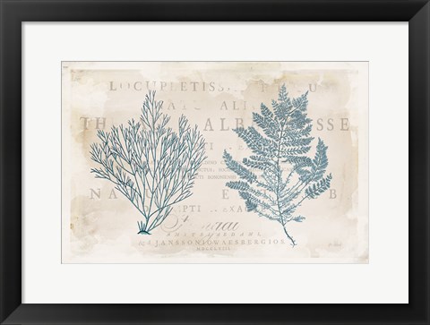 Framed Sea Garden I Print