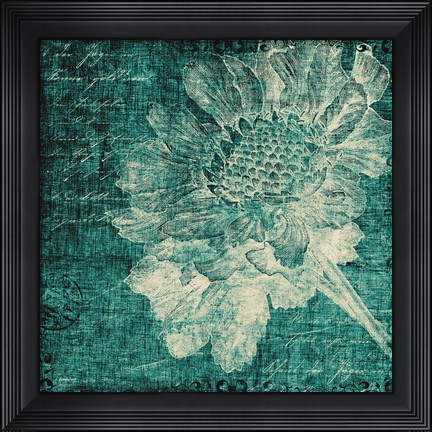 Framed Aqua Vintage Botanical Print