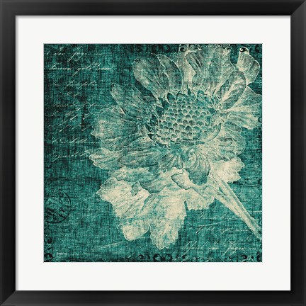 Framed Aqua Vintage Botanical Print