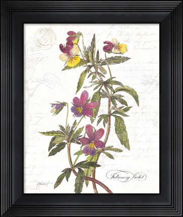 Framed February Violet on White Print