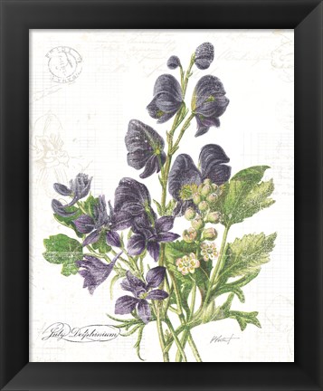 Framed July Delphinium on White Print