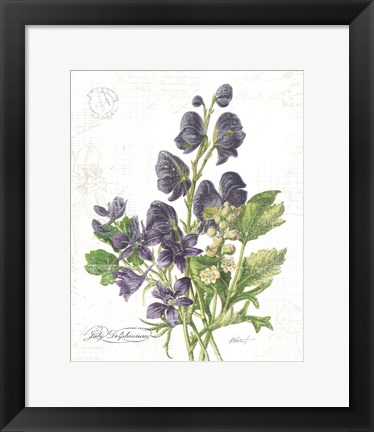 Framed July Delphinium on White Print