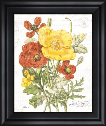 Framed August Poppy on White Print